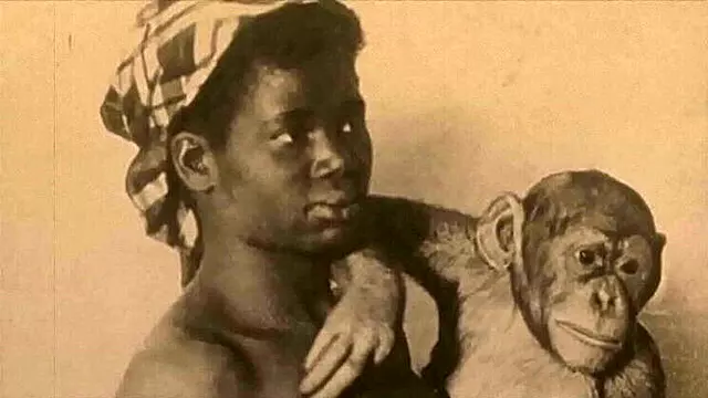 Première Fois Poilue, Par Derrière Hairy, Femme Poilue, Chatte Poilue Des Femme, Chatte Poilue Retro