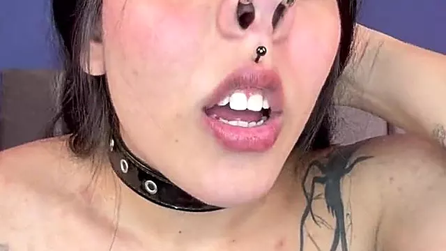 Revved in to Piggy