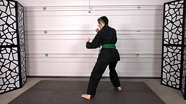 ZIVA'S KICKING PRACTICE (4K)