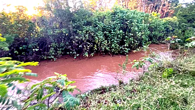Traditional Riverside Battle