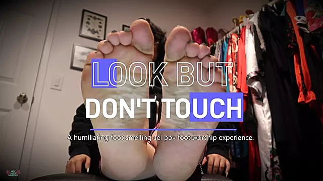 Look But Dont Touch 4K
