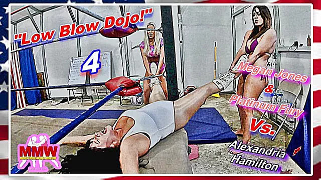 Low Blow Dojo! 4 WMV