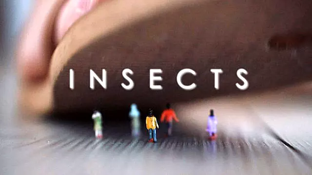 Insects - Danielle Maye