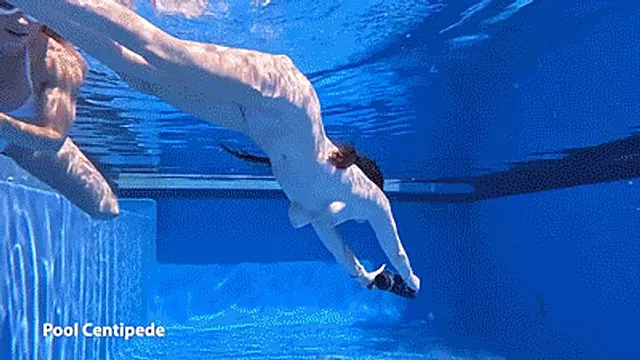 Lilibet Saunders - Subnado Episode 10 - Pool Centipede (1080p)