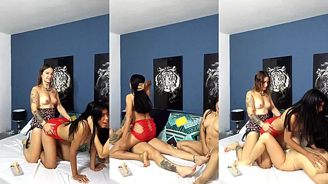 trio of hot girls have sex and make video