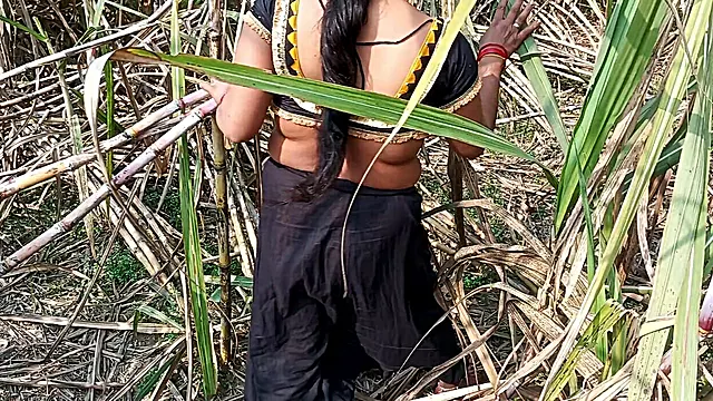 My Sexy Wife and I in the Sugarcane Field in Mast Chudai