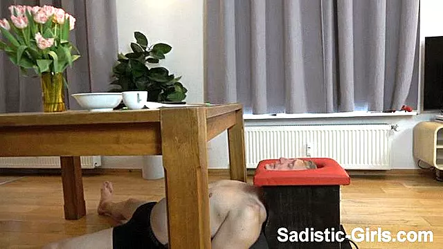 Karma - Face Sitting Studies
