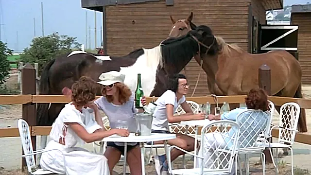 Orgie Fellation, Fellation Vintage, Ejaculations Orgie, Partouze Française, Rousse Francaise