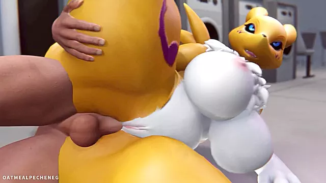 , xxx hd,