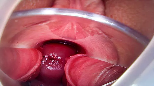 Nærbillede, Kremet Kusse, Kæmpe Orgasmer, Ekstrem Fisse, Kæmpe Fisser, Inde I Min Fisse, Xxx Video Full Hd Inden