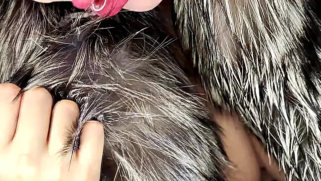 Lodziki Amatorki, Brunetka Amatorka, Amator Cumshot, Mamuśki Amatorki, Amatorskie Mamuśki Bj