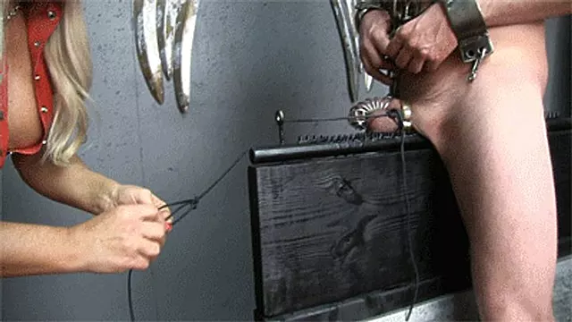Bondage Domination Feminine, Femdom Chastete, Viens, Domination Féminine, Femdom Interogatoire