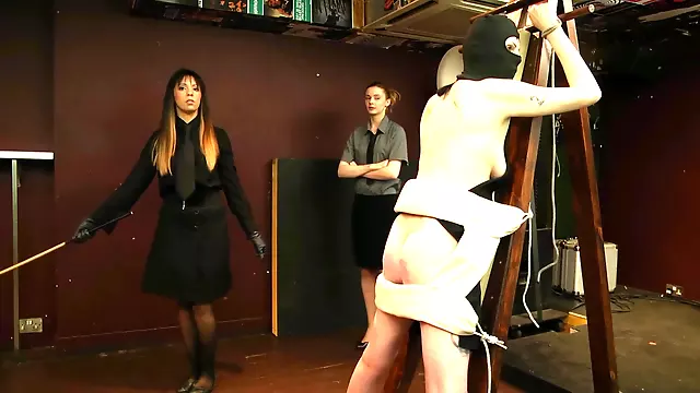 Bdsm Moden, Klassisk Bdsm, Milf Med Store Patter, Store Bryster, Store Bryster Smæk, Brunetter
