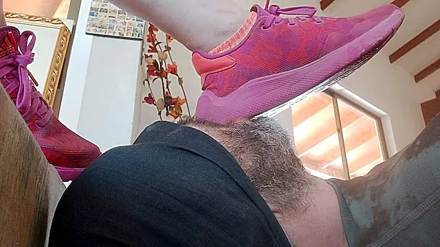 Ballerina, Piedi Con Calze, Piedini, Adorazione Sel Piede Schiavo, Piante Di Piedi, Piedi Annusa