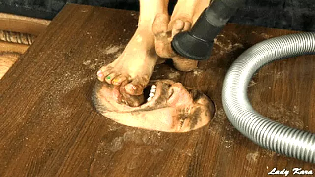 Cleaning Doormat (720 HD)