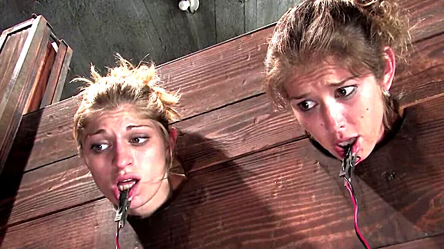 Two Tied Up Sluts Screaming in Pain and Excitement in BDSM Sex
