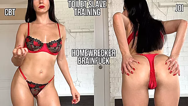 Homewrecker Brainfuck - Toilet Slave JOI & CBT Training